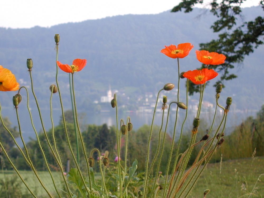 Landhaus Strussnighof Portschach am Worthersee Bagian luar foto
